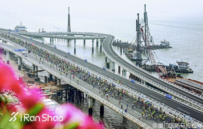 科普 | 最后几天快上车 厦马报名数据大揭秘