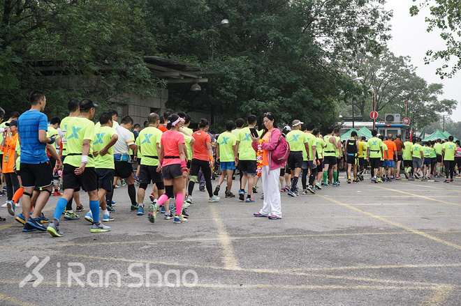 2016南京马拉松：这很南京，这很“依壁雕凿”