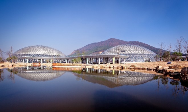 大阳山跑山赛|这次，把森林拓进奖牌