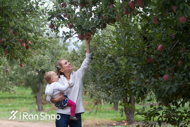 饮食 | 如何吃出运动员身形？先和“低脂饮食”说再见！