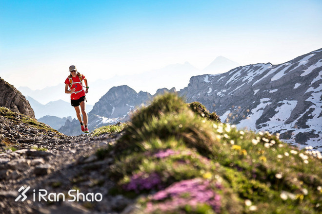 不是鸡汤 | 承认吧，其实你也想去撒野