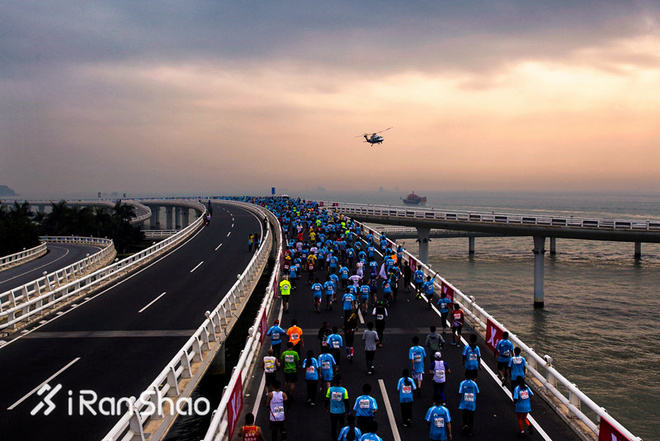 科普 | 最后几天快上车 厦马报名数据大揭秘