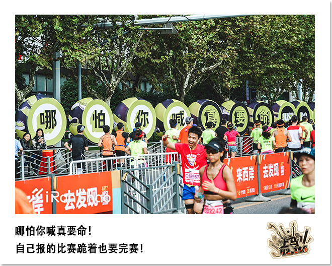 喜欢上马的理由 | 42张照片 唤起你的上马记忆