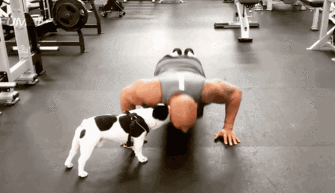 热点 | 还在回味冰桶挑战？新一轮更刺激的来袭！