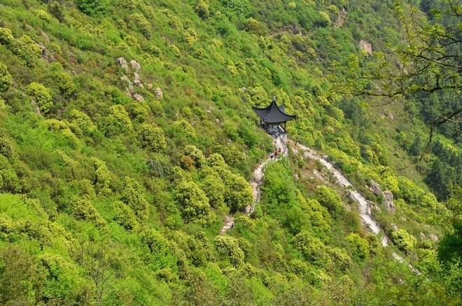 大阳山跑山赛|这次，把森林拓进奖牌