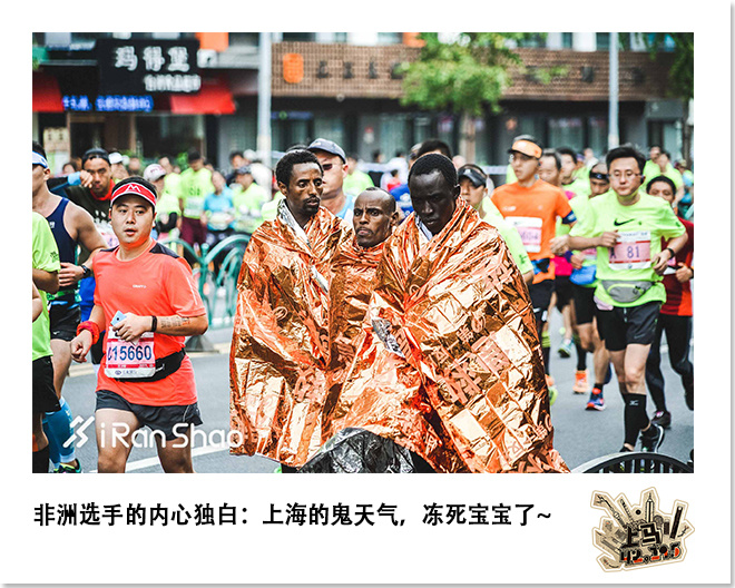 喜欢上马的理由 | 42张照片 唤起你的上马记忆