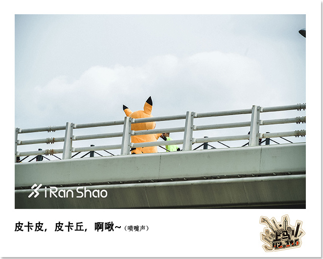 喜欢上马的理由 | 42张照片 唤起你的上马记忆