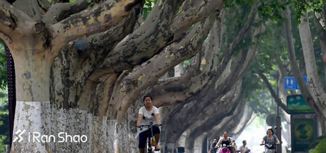 南马全攻略 | 南京马拉松，一年的等待只为这一天的美好相约