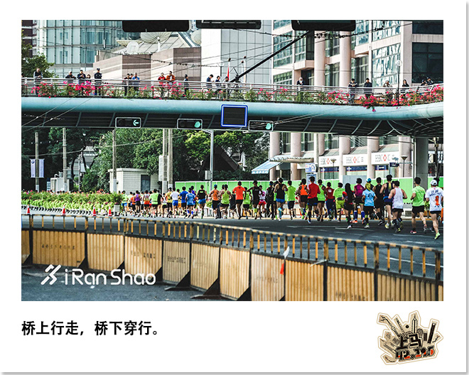 喜欢上马的理由 | 42张照片 唤起你的上马记忆