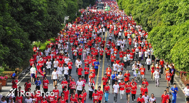 科普 | 最后几天快上车 厦马报名数据大揭秘