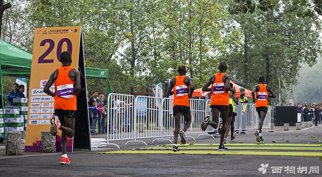 喜欢上马的理由 | 周其祥：从打工仔到上海 “业余一哥”