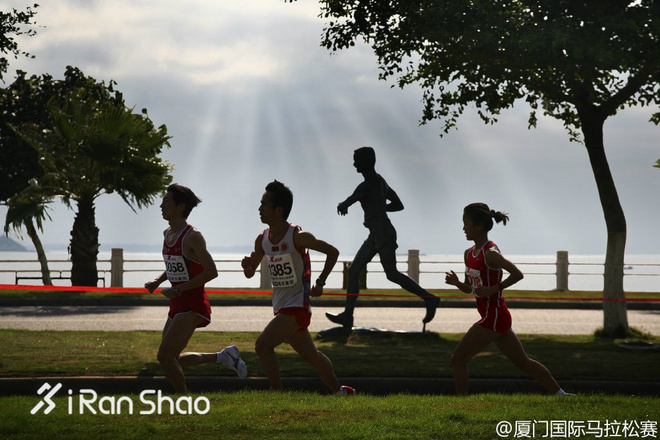 科普 | 最后几天快上车 厦马报名数据大揭秘