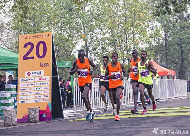 喜欢上马的理由 | 周其祥：从打工仔到上海 “业余一哥”