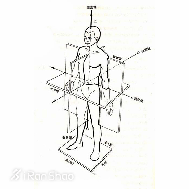 科普 | 内外翻，你是不是一直搞反了？