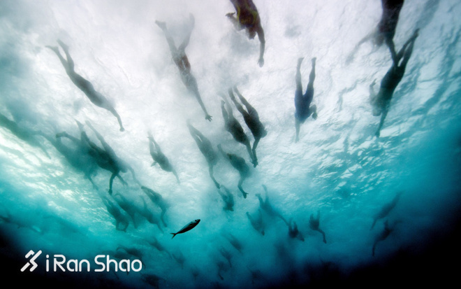 热点 | 旋转的奖牌，不变的Kona