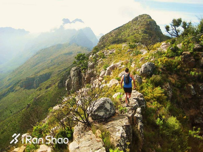 不是鸡汤 | 承认吧，其实你也想去撒野