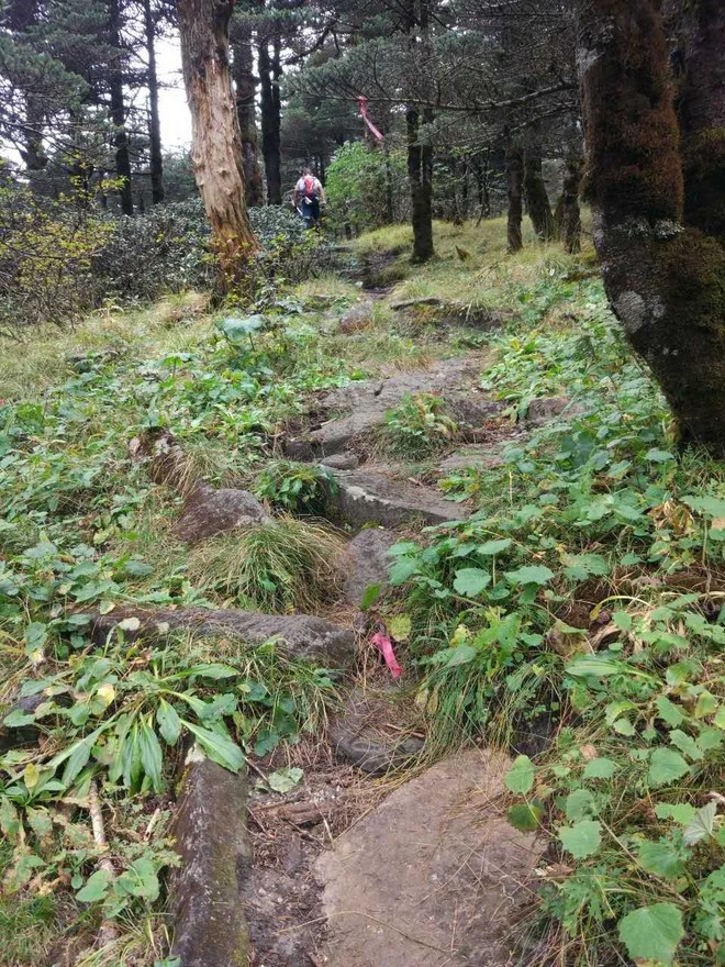 跑者天堂 | 在苍山洱海跑一场风花雪月