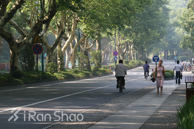 杭马30 | 说说杭马的二三事