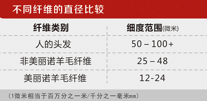 位于羊毛巅峰的美丽诺，不用等双11的冬季训练“强制装备”