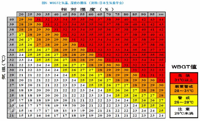 怎样的天气条件，对一场马拉松来说是最完美的？