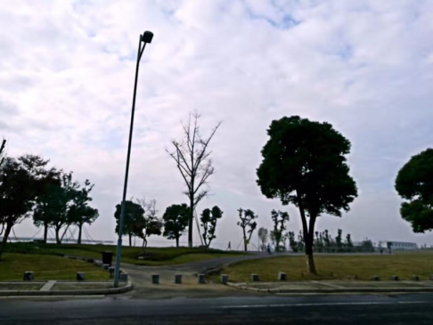 乐享西马，盛装出行——西马，我来啦！