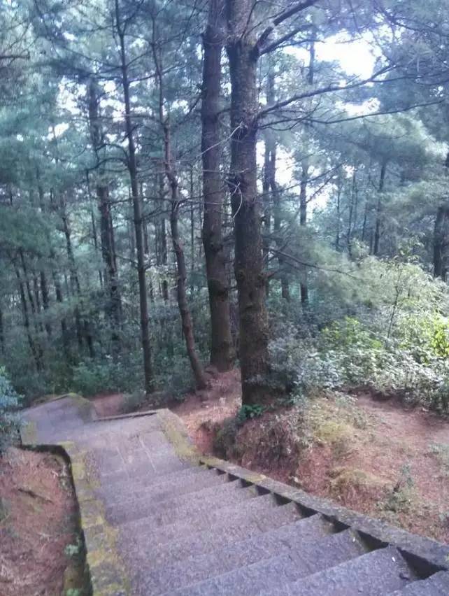 跑者天堂 | 在苍山洱海跑一场风花雪月