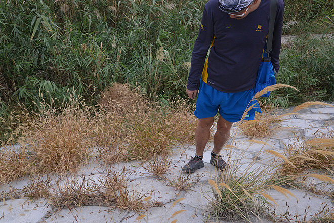 Megagrip Adventure：Vasque Vertical Velocity越野跑鞋初测