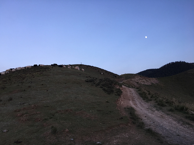 Megagrip Adventure：Vasque Vertical Velocity越野跑鞋初测