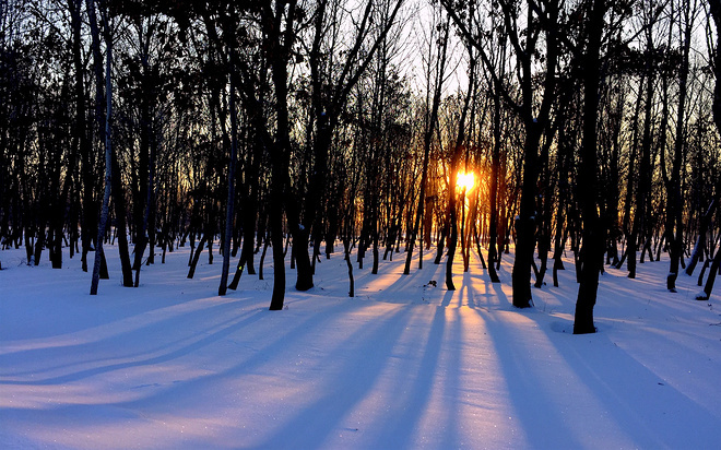 双11赛事有福利 —— 10场赛事，5折起，仅此1天！