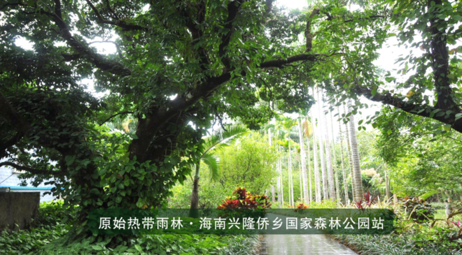 双11赛事有福利 —— 10场赛事，5折起，仅此1天！