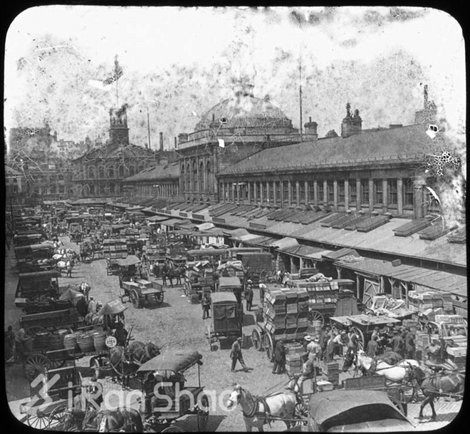 波士顿马拉松风云：城市马拉松的奠基和消失的冠军