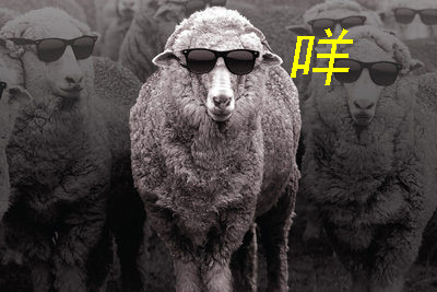 位于羊毛巅峰的美丽诺，不用等双11的冬季训练“强制装备”