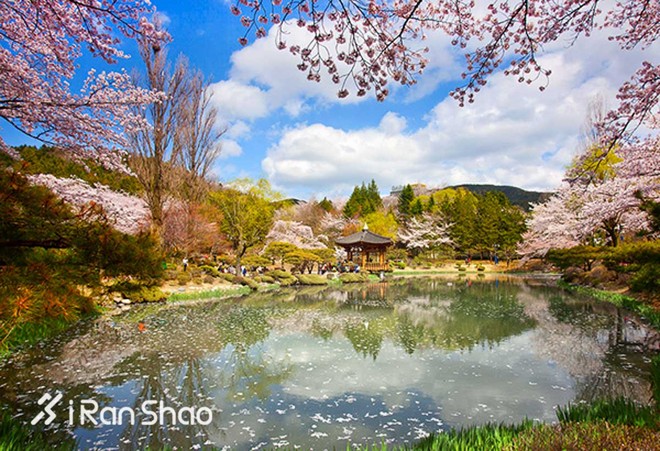 2016爱燃烧年终回顾 | 那些值回票价的海外马拉松