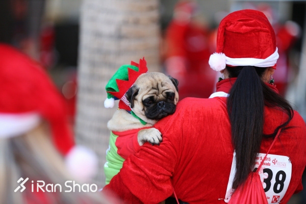 经验 | 圣诞节跑步不完全指南