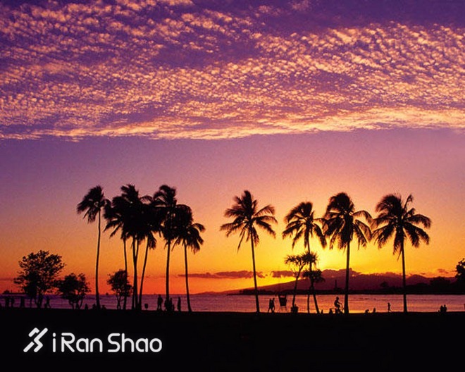 2016爱燃烧年终回顾 | 那些值回票价的海外马拉松