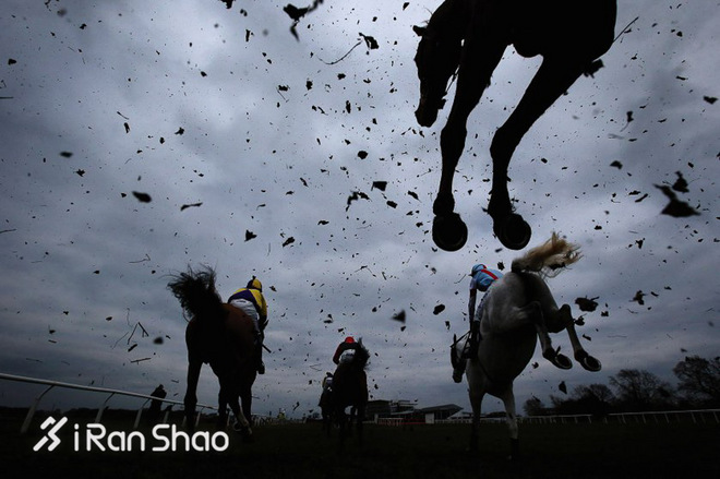 回顾  | TIME时代周刊：2016年度最佳体育摄影