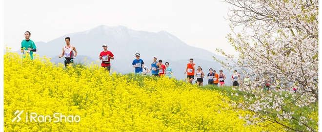 2016爱燃烧年终回顾 | 那些值回票价的海外马拉松