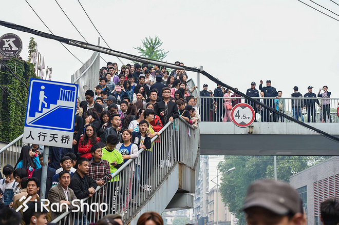 独家 | 超口碑汉马 2017武汉马拉松全信息