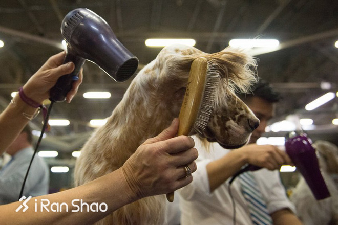 回顾  | TIME时代周刊：2016年度最佳体育摄影