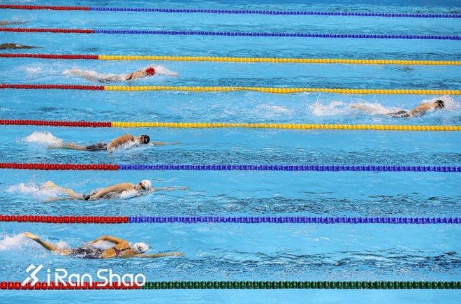 回顾  | TIME时代周刊：2016年度最佳体育摄影