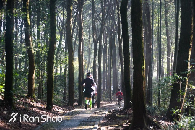 2016爱燃烧年终评选 | 这一年你跑过的山与路