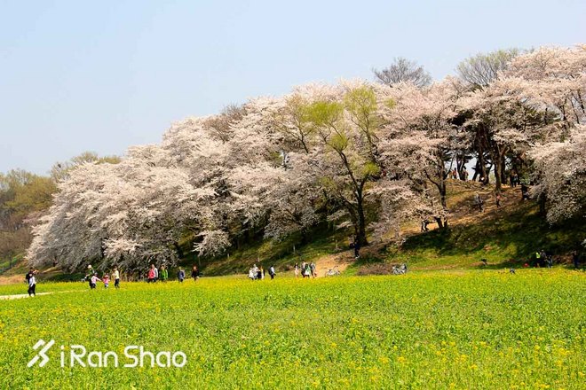 2016爱燃烧年终回顾 | 那些值回票价的海外马拉松