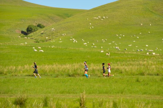 2017铁木真草原马拉松赛早鸟价即将结束