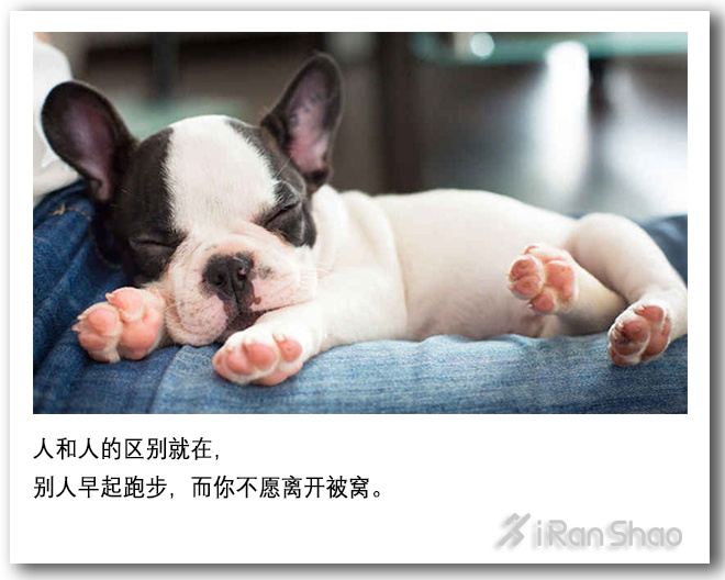 不是鸡汤 | 许下承诺不是一件聪明的事 但完成承诺是