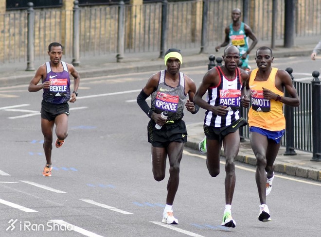 2016爱燃烧年终回顾 | 世界马拉松综述：兵临城下，突破在即？