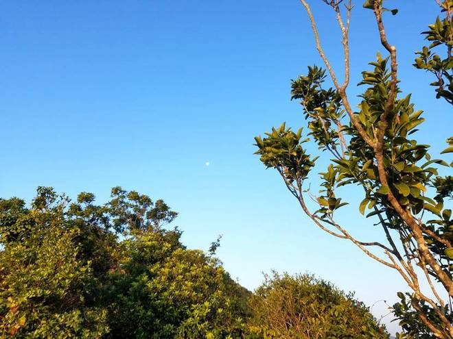 放纵的狂奔——我的首个百英里越野赛UTSZ100