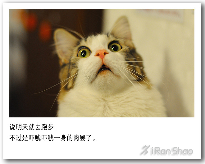 不是鸡汤 | 许下承诺不是一件聪明的事 但完成承诺是