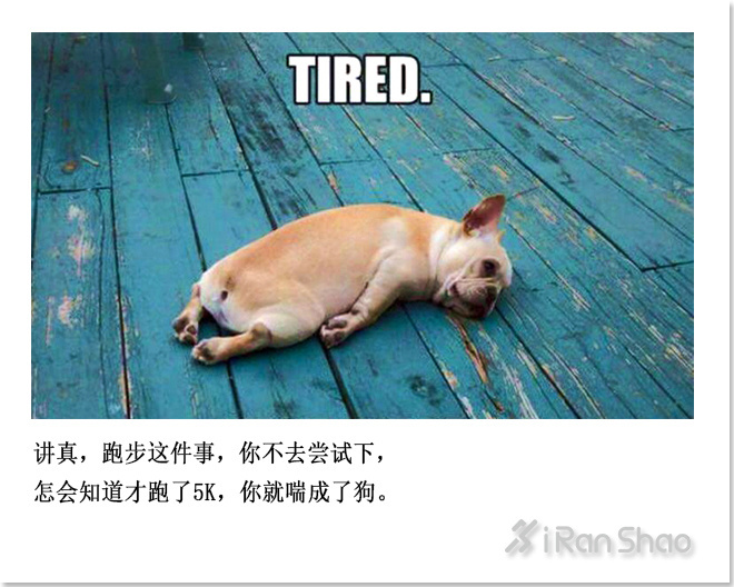 马拉松版春节自救指南