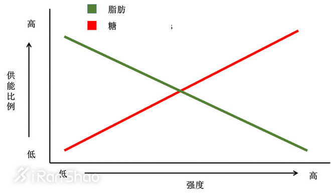 深度 | 爱好者与专业的马拉松选手有哪些差距，后者又具备哪些特质？