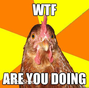 装备 | 新年主旋律 凤凰与幺鸡